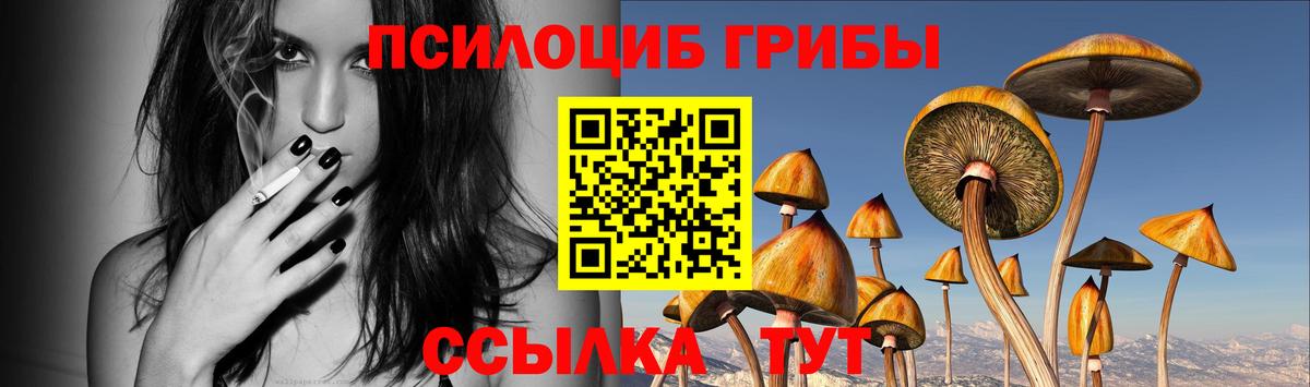 Псилоцибиновые грибы ЛСД  Вход с VPN  Алапаевск 